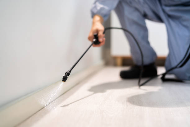 Licensed Mosquito Control service in Warm Mineral Springs, FL - Show Me Pest Control