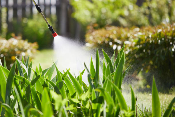 24/7 Emergency Mosquito Control experts in Warm Mineral Springs, FL