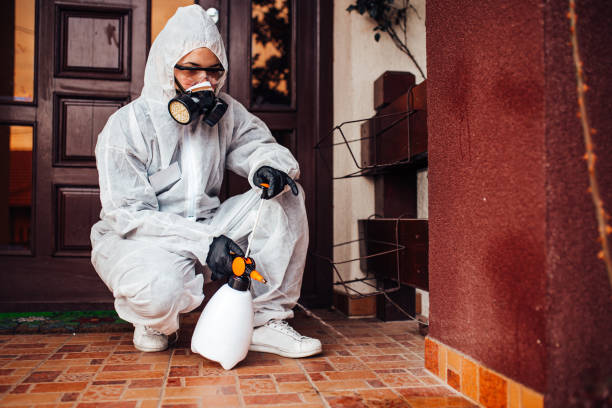 Reliable Mosquito Control contractor in Warm Mineral Springs, FL by Show Me Pest Control
